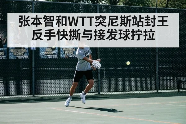 张本智和WTT突尼斯站封王 反手快撕与接发球拧拉
