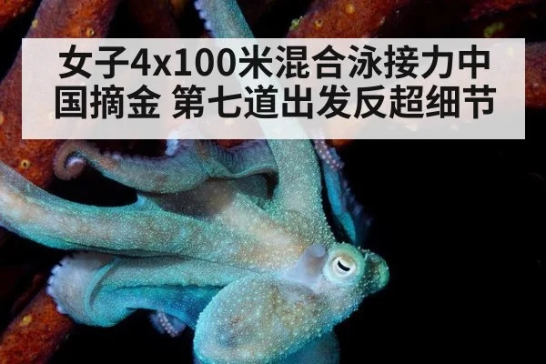 女子4x100米混合泳接力中国摘金 第七道出发反超细节